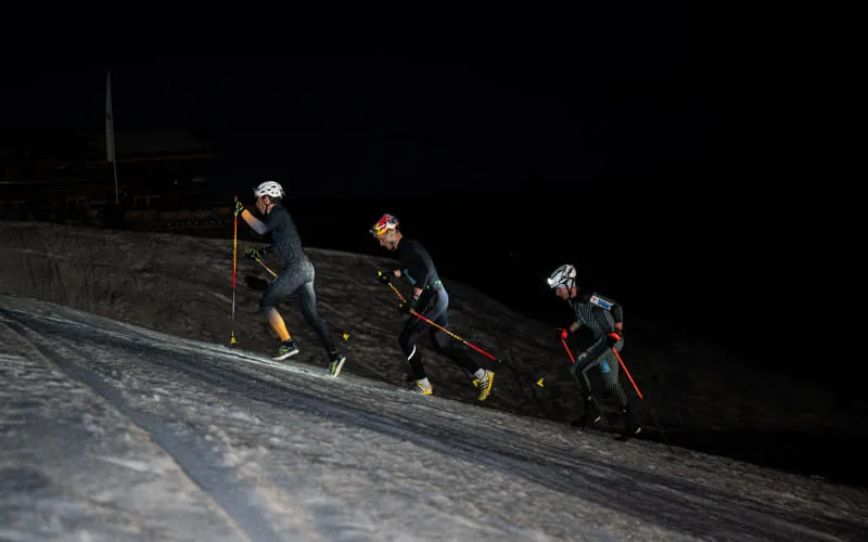 lowres_vertical_up_2026_02_28_c_peakpixelcafe_361.jpg